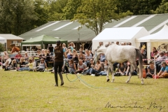 Demo-Lisse 2015-photos by Marieke Bos