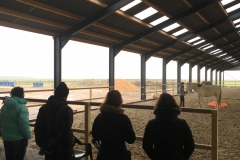 Horseless workshops 2019