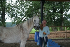 Obstacle training day at Riverland Horse Farm